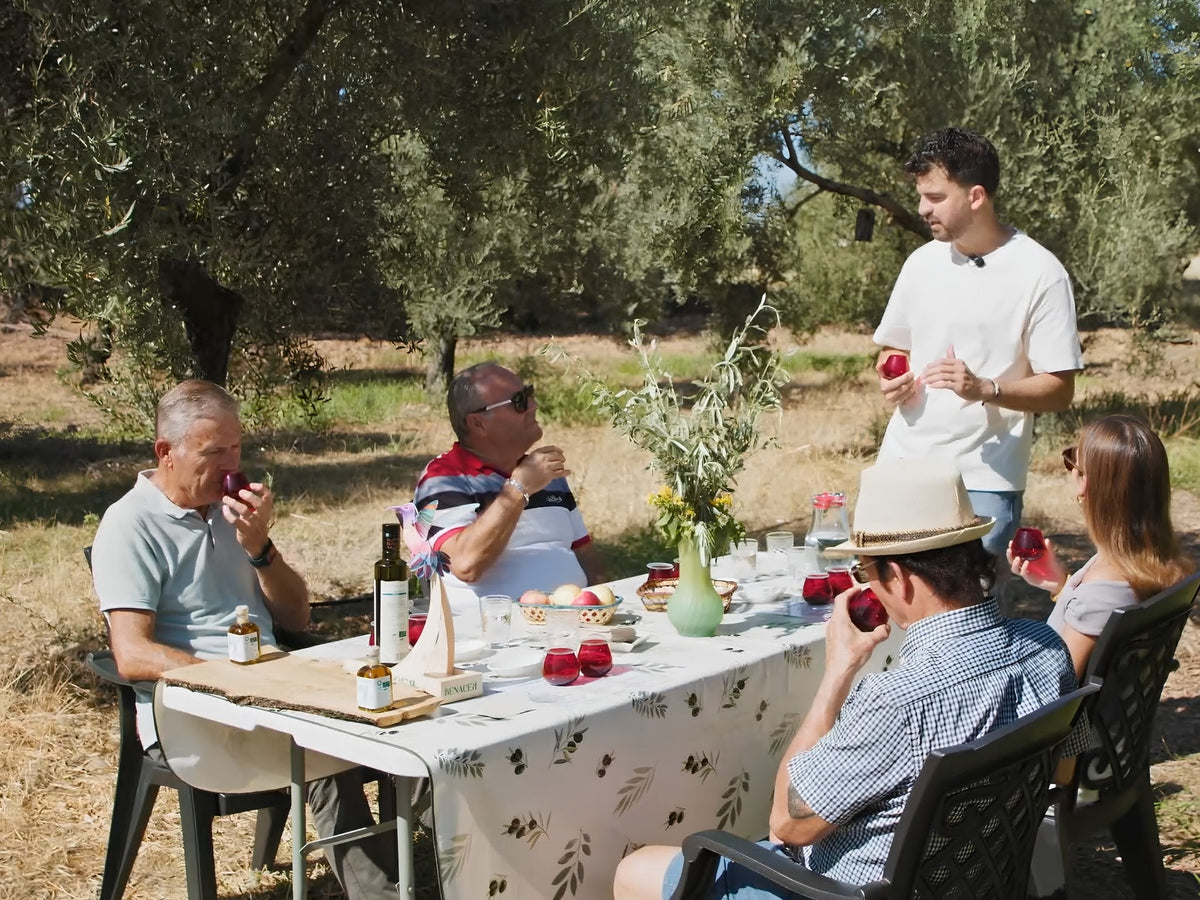 Family olive oil producer in their organic grove near Cordoba