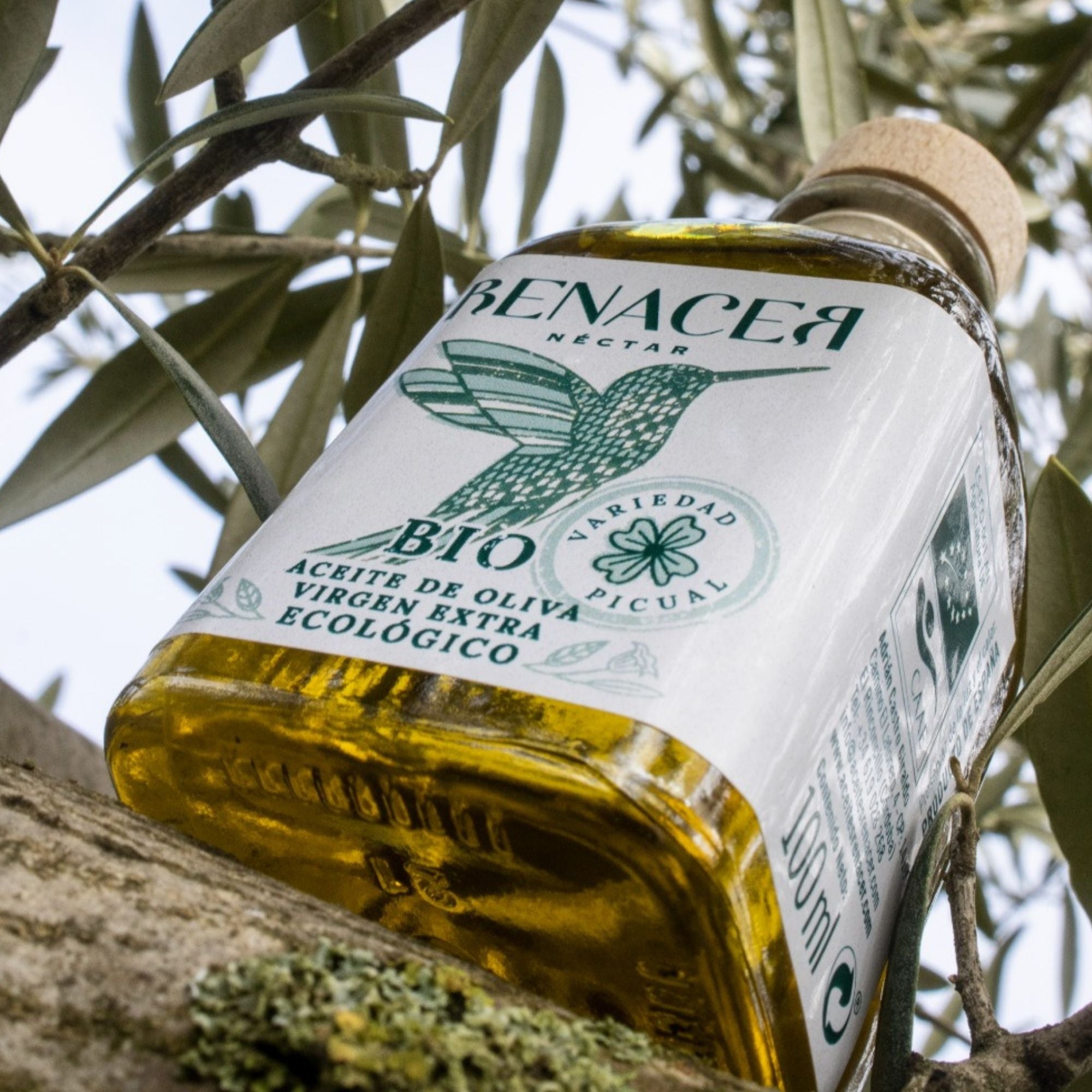 Aceite de oliva virgen extra ecológico – Frasca 100 ml - Aceites Renacer