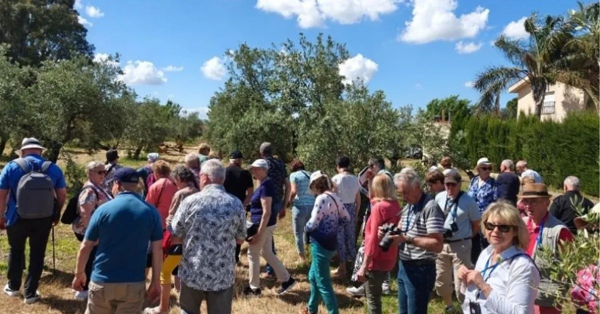 Paseo guiado entre olivos ecológicos en la campiña de Córdoba, Aceites Renacer
