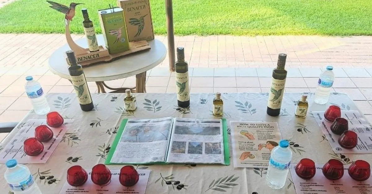 mesa de cata de aceites oleoturismo cordoba