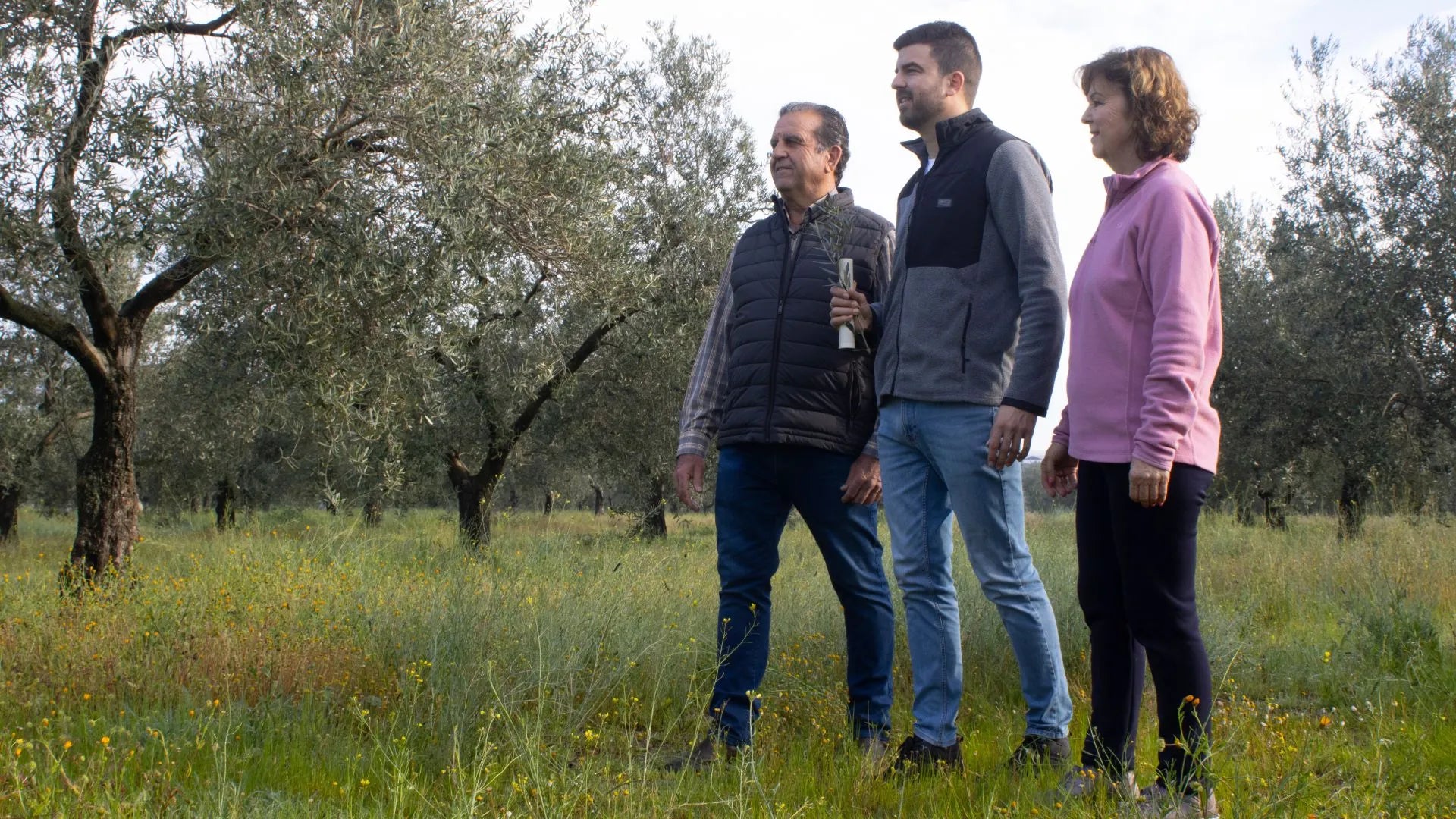 Aceite de Oliva Virgen Extra Ecológico Picual Cosecha Temprana – Lata 3 Litros