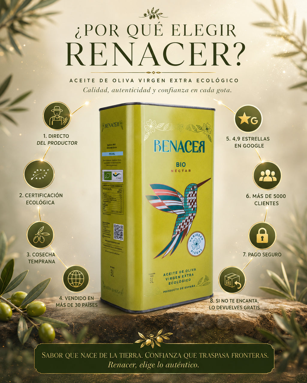 Aceite de Oliva Virgen Extra Ecológico Picual Cosecha Temprana – Lata 3 Litros