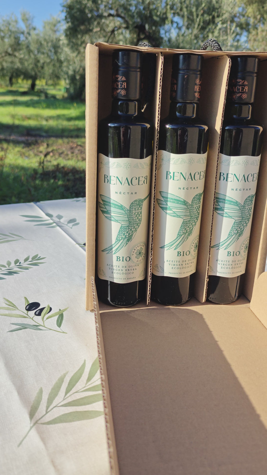 Organic Picual Olive Oil Gift Set – 3 Bottles 500ml | Aceites Renacer