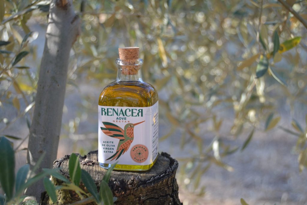 aove ecológico