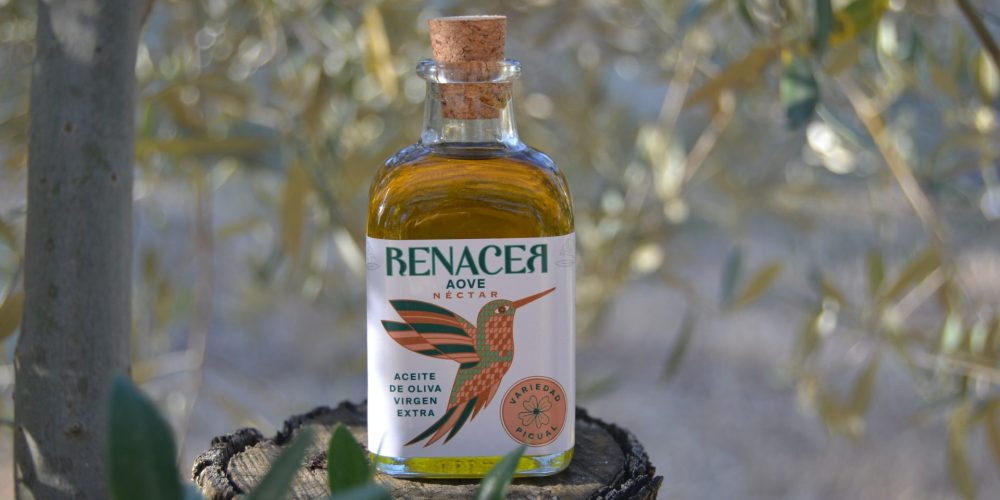 aceite de oliva aove aceite oliva ecologico comprar aceite