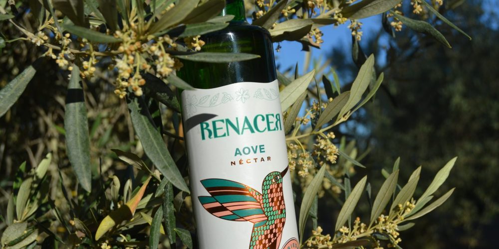 Aove Ecológico